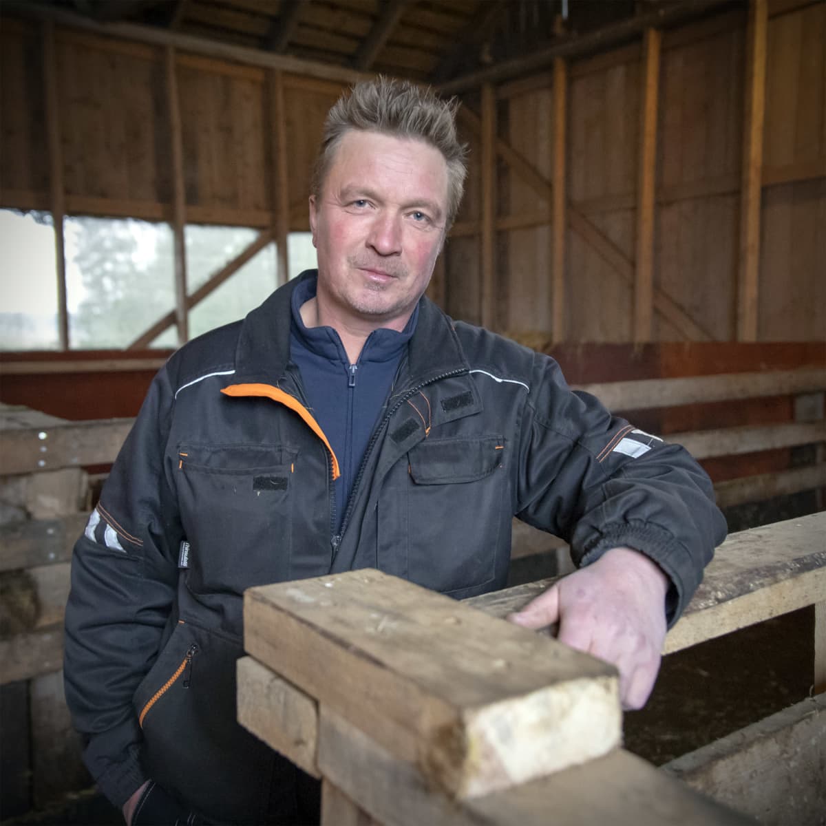 Sami Koski isännöi Maalahdessa tilaa, jolla kasvatetaan Linderöd-possuja