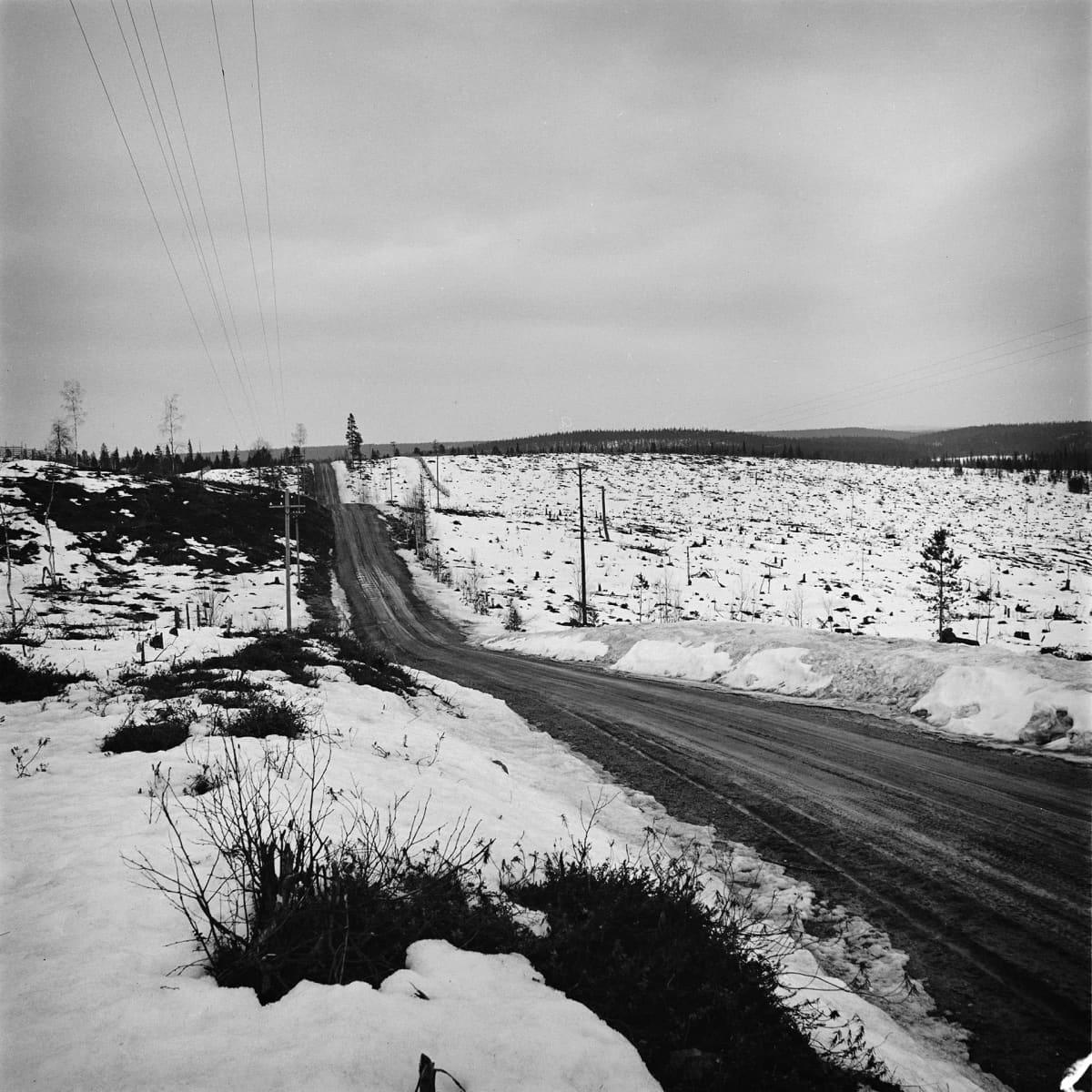 Avohakkuualue Kuusamossa 1966