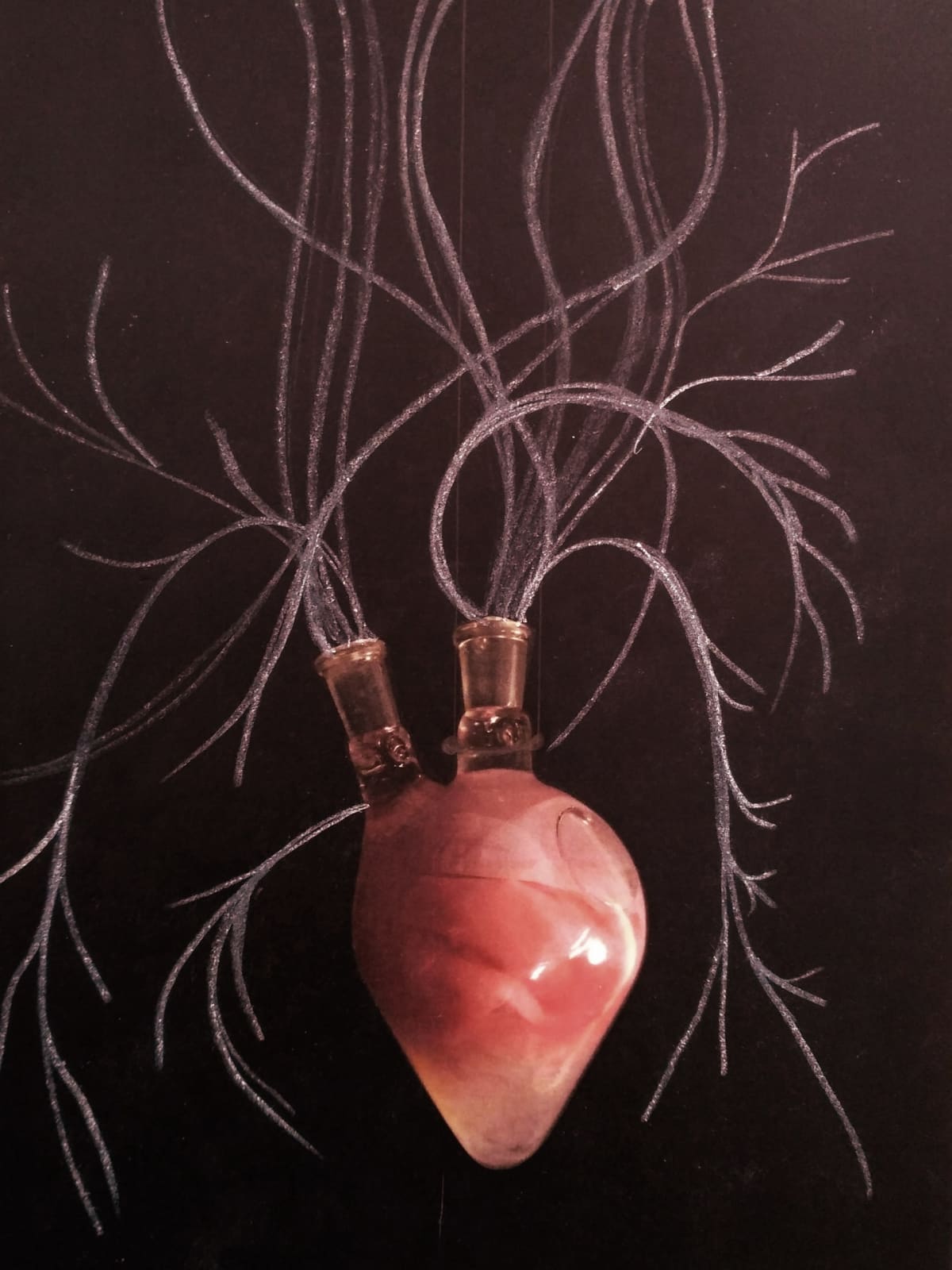Margherite Pevere, biotaide