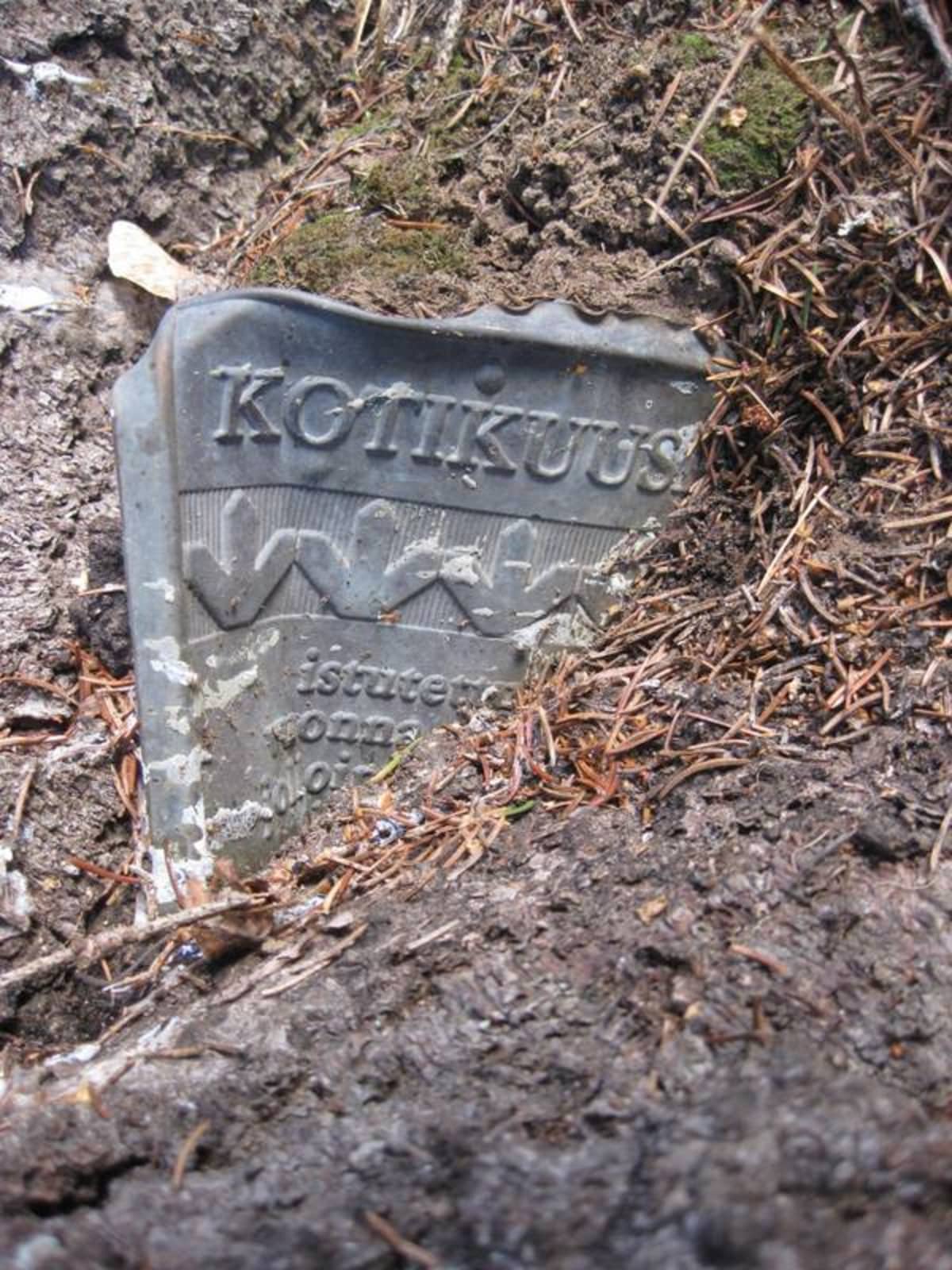 Kotikuusi-kyltti runkoon kasvaneena.jpg