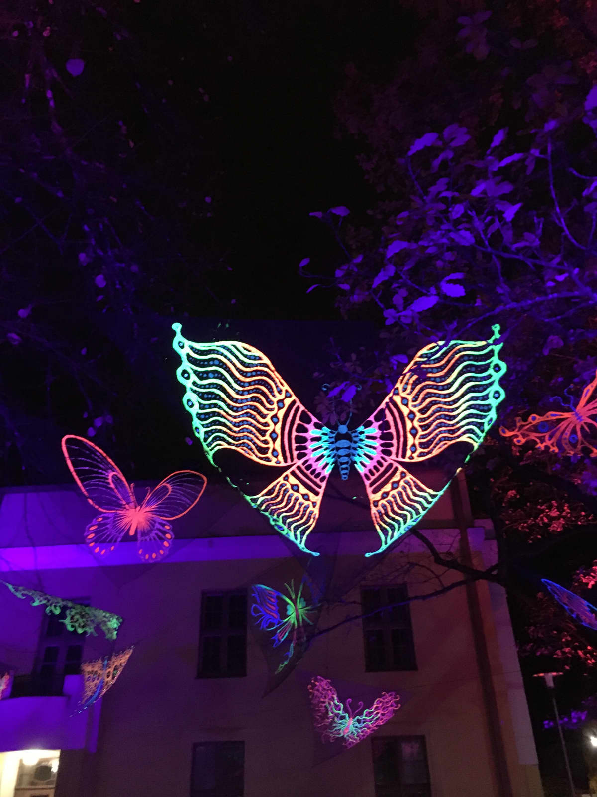 Lux Creatura -teos Illumio-tapahtumassa