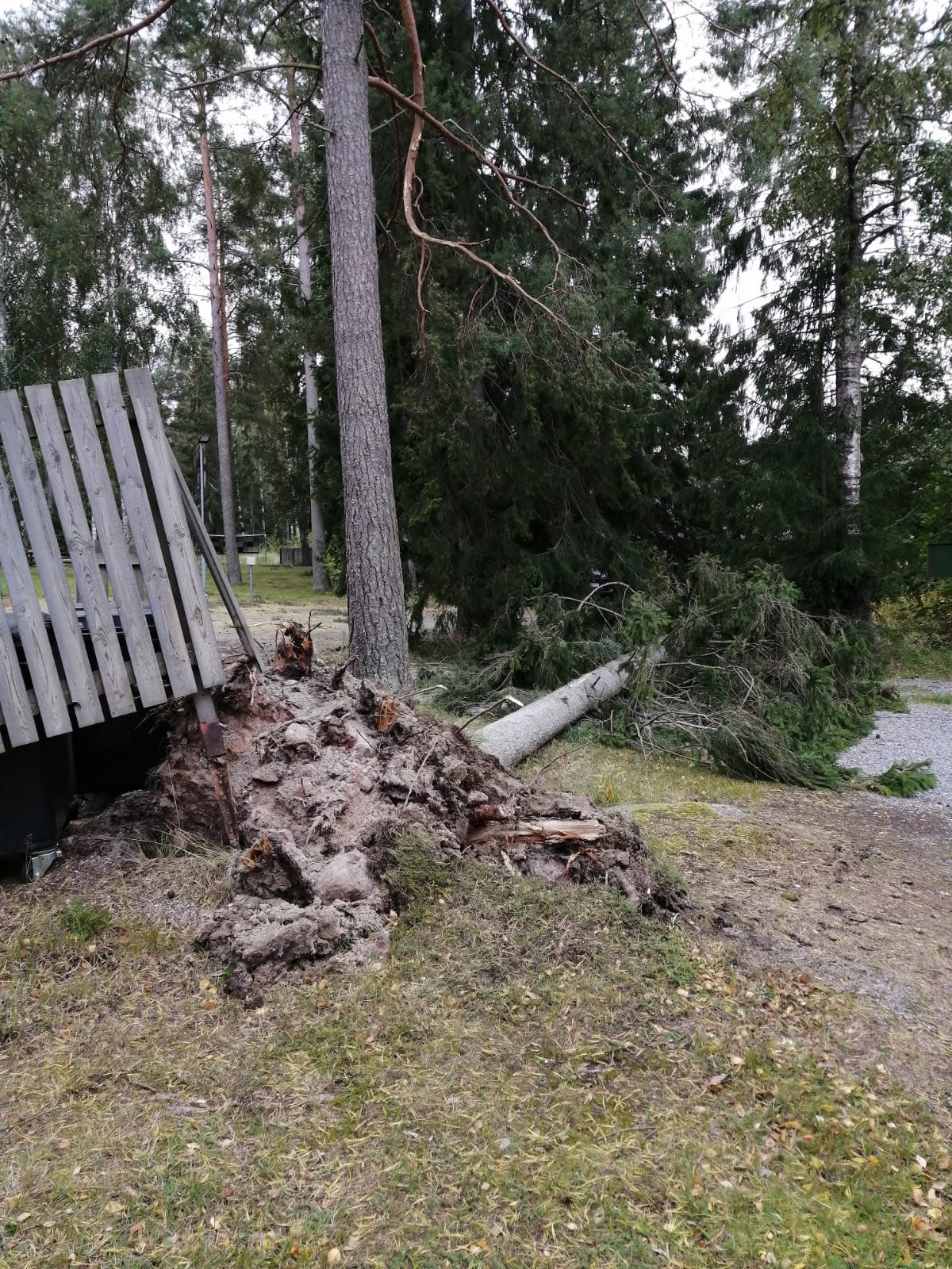 Reposaaren pallokentän tuhoja Aila-myrskyssä