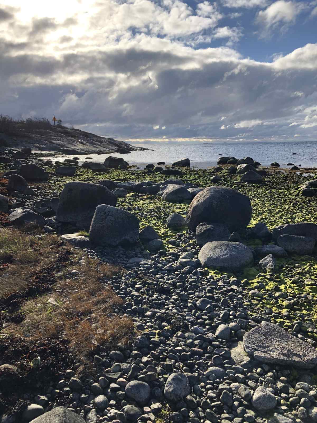 Merimaisema Örön saarelta