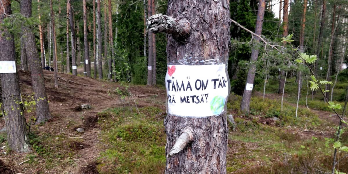 Puuhun kiinnitetty lappu Keskuspuistossa.