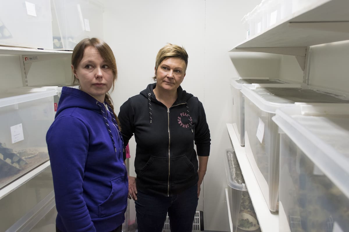 Tarja Kurikka ja Mia Koivumäki kasvattavat kotisirkkoja Sanginjoella Oulussa.