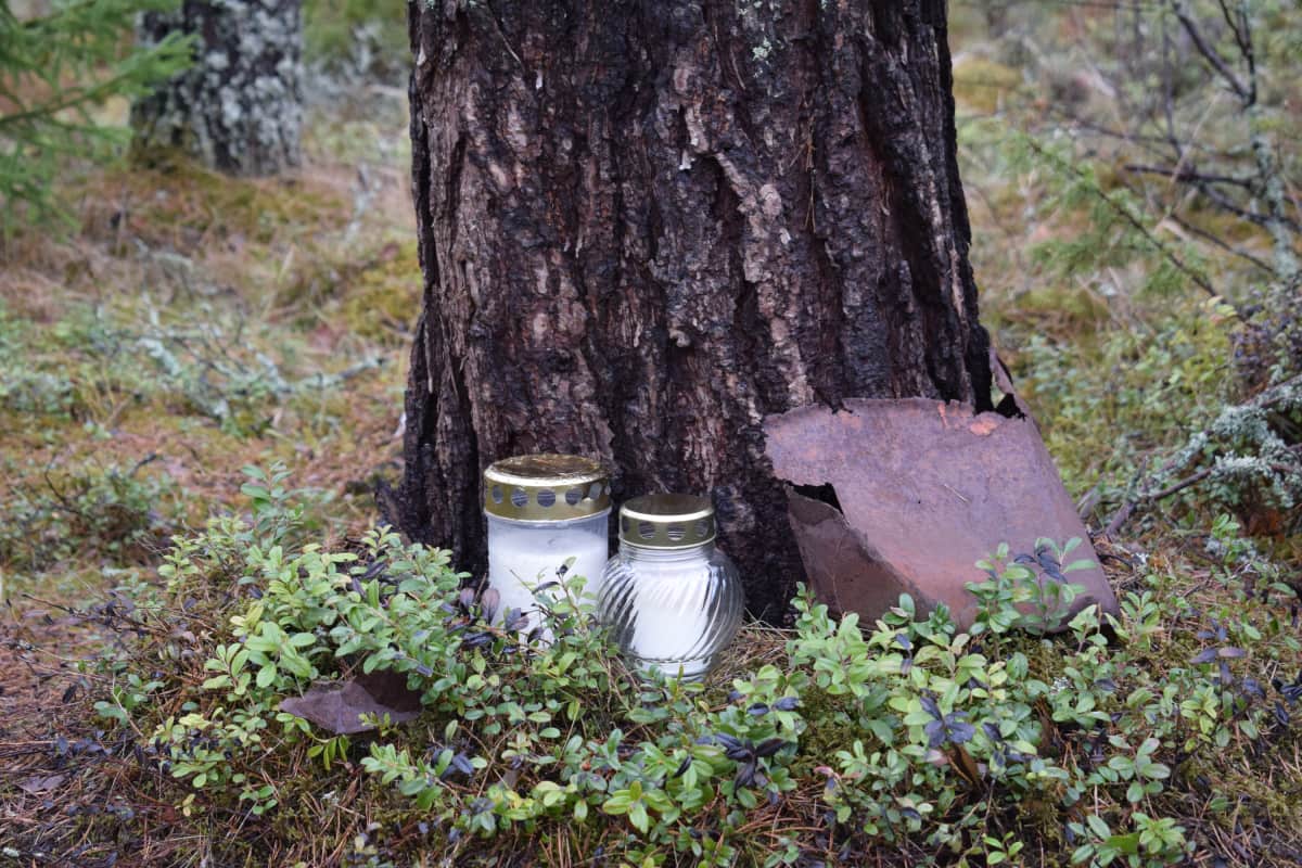 Hautakynttilöitä puun juuressa.