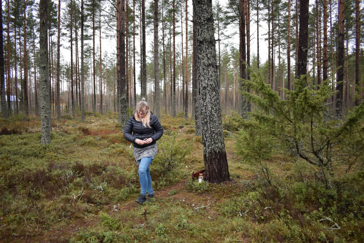 Anna-Leena Suni kävelee metsässä.