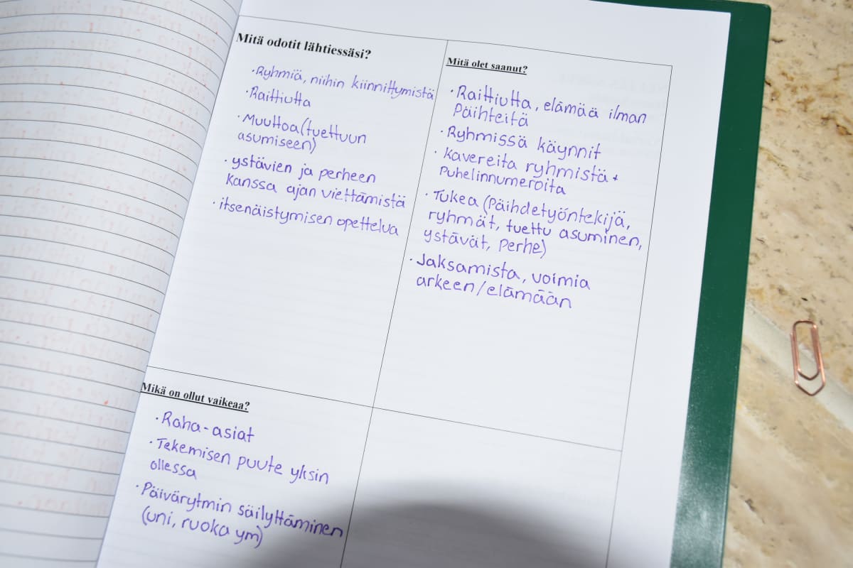 Päihdehoidon päiväkirja.