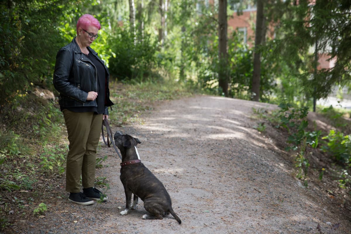 Maarika Wallenius Suomen Amerikanstaffordshirenterrieriyhdistyksen pentukummi ja amstaffi Rusina