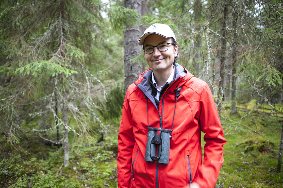 Panu Kuokkanen, Metsähallituksen erikoissuunnittelija