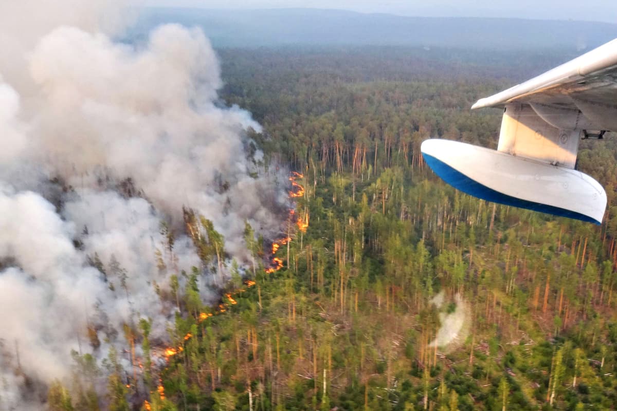 Be-200 -palontorjuntalentokoneesta otettu valokuva Krasnojarskin aluepiirin alueella tiistaina 30. heinäkuuta.