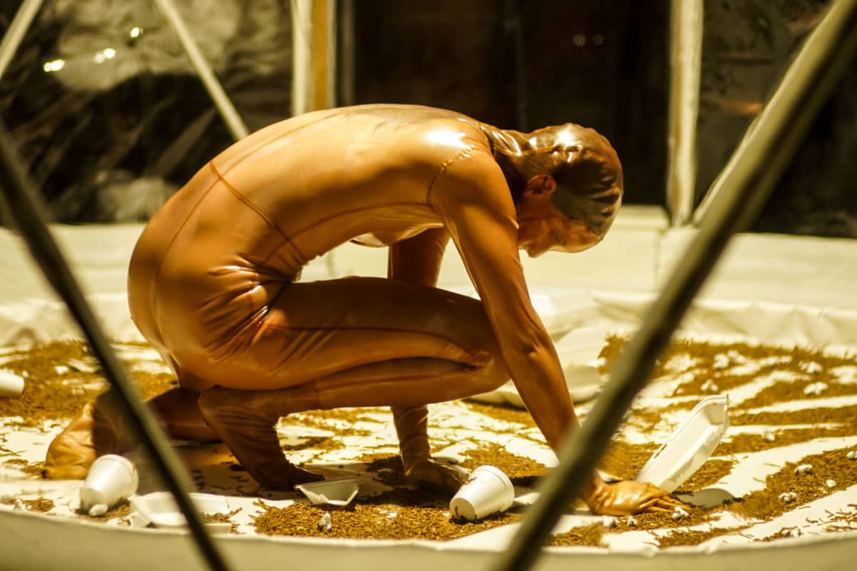MASS - bloom explorations, Kiasma, Recoil Performance Group