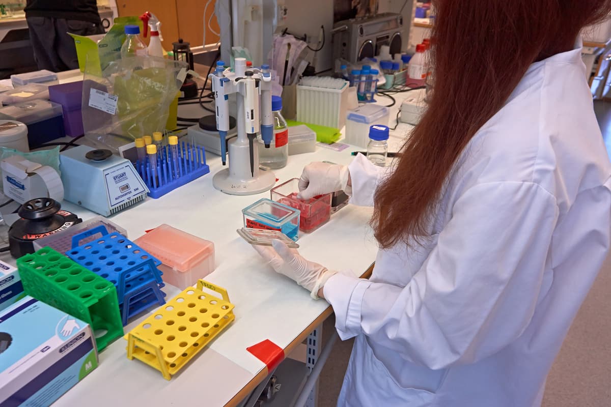 Nainen työskentelee Laboratoriossa..