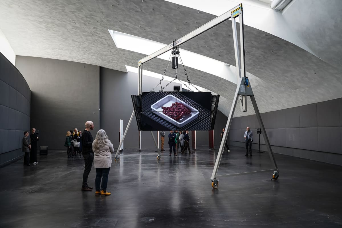 Ed Atkins, Kiasma, safe Conduct, videotaide