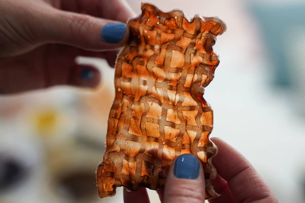 biotaide, materiaalikokeilu, Suomen biotaiteen seura