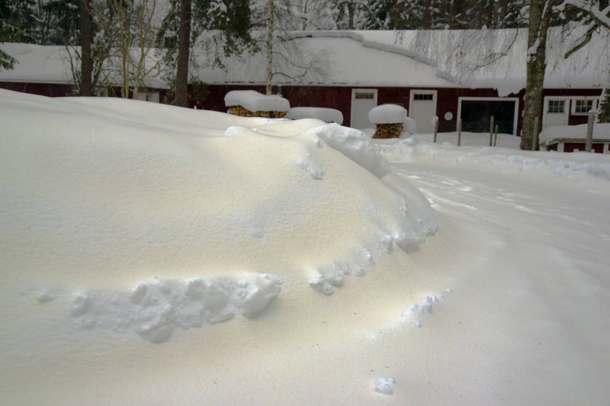 Saharan hiekkaa Orivedellä.
