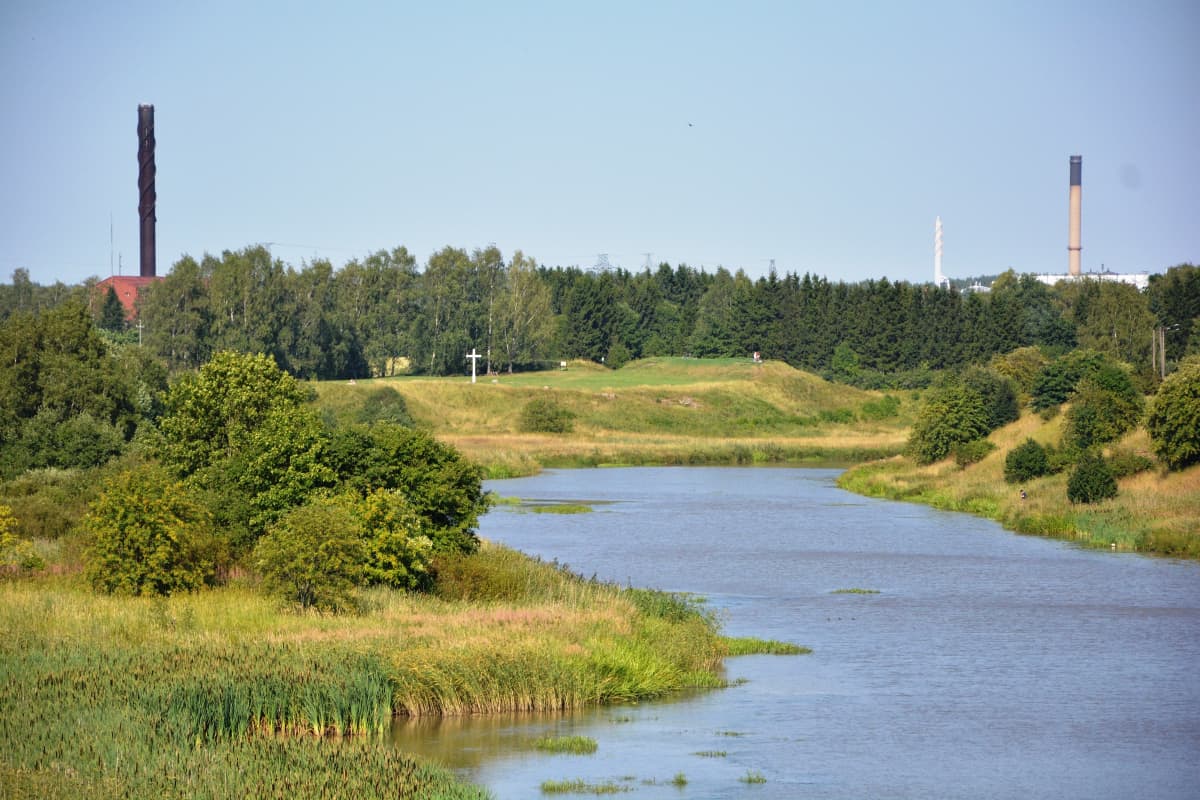 Aurajokimaisema
