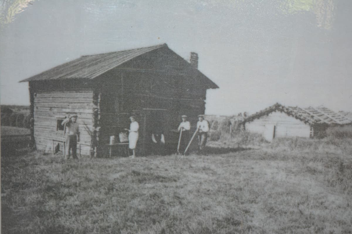 Yli-Lauroselan heinäväki Alajoki-saunan edustalla 1952. Kuva Jussin Jokisaunojen ulkorakennuksen seinällä.