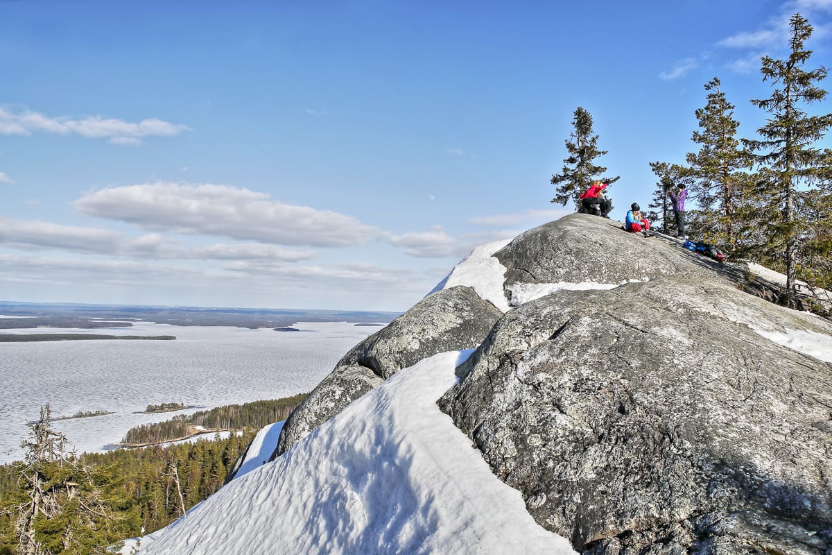 Ihmisiä Kolilla.