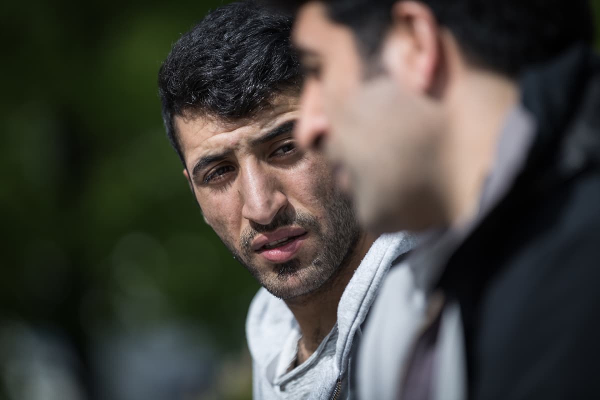 demir alpay, serhat turan