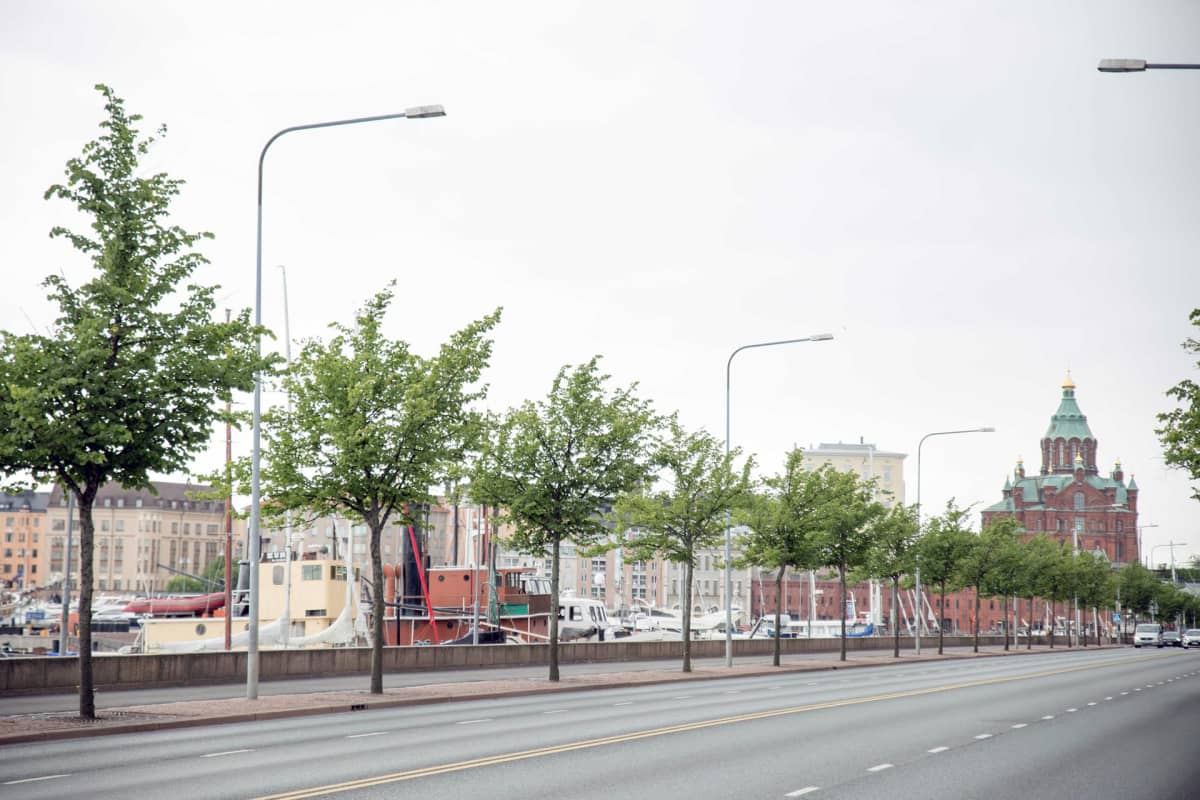 Lehmuksia Helsingin Pohjoisrannassa.