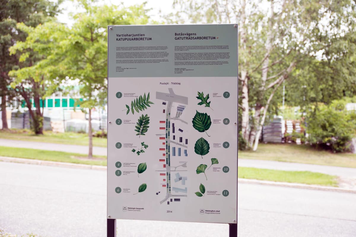 Katupuuarboretum Helsingin Vartioharjussa.