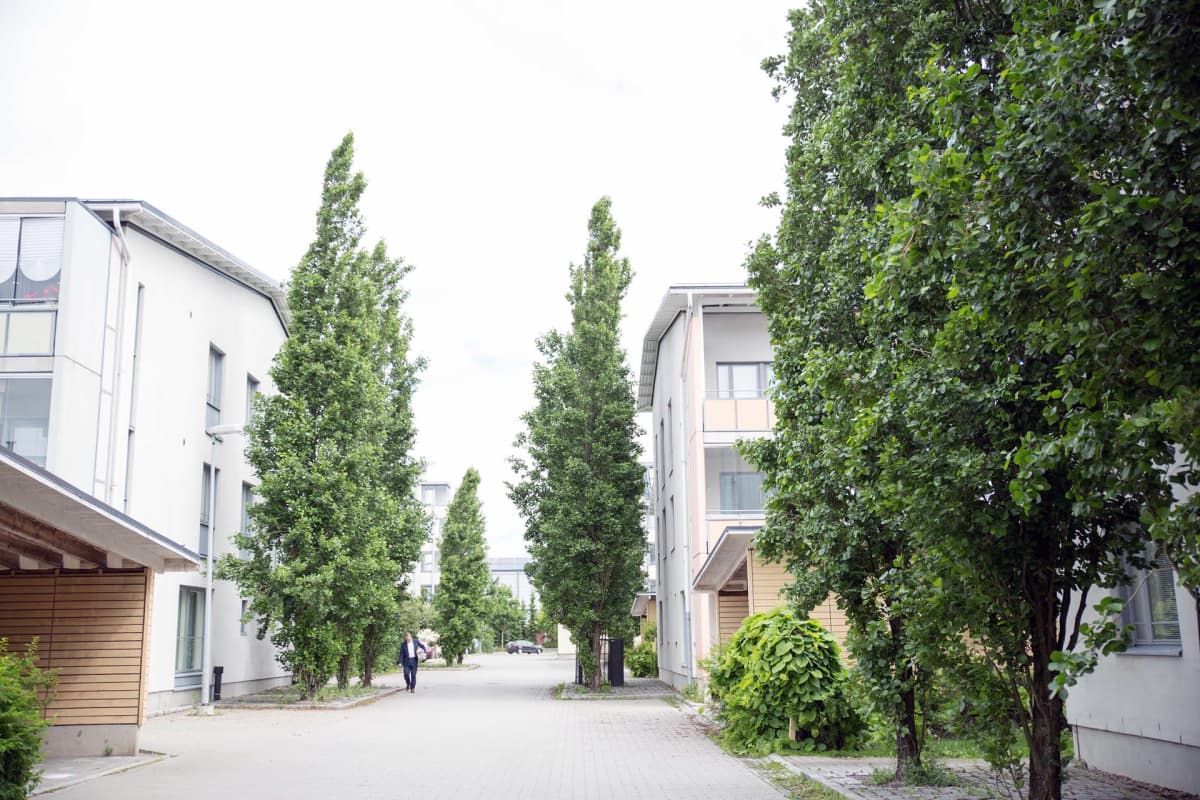Norkkokuja Helsingin Viikissä.