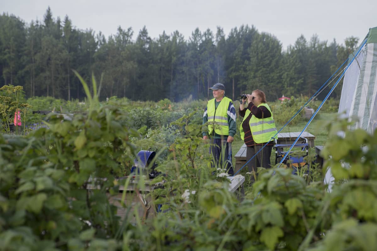 Maunulanpuiston palstaviljelijät