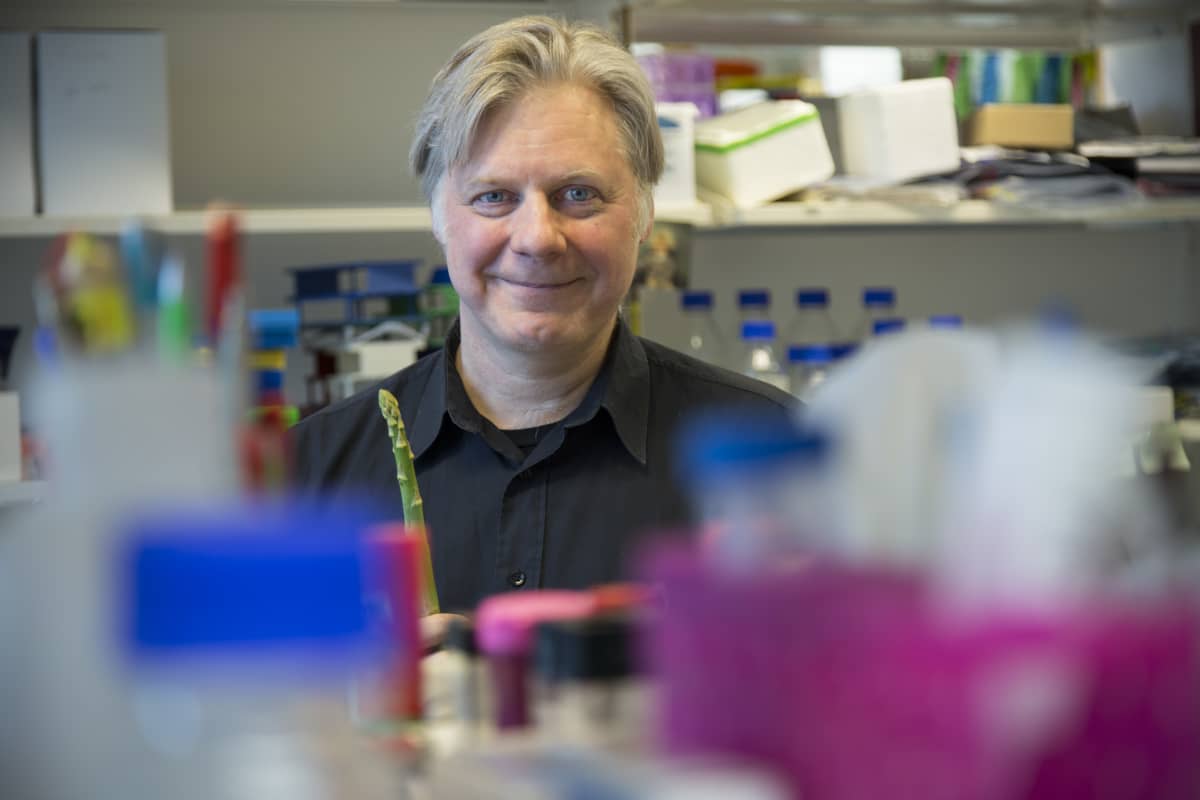 Tutkimusjohtaja Juha Klefström työpaikallaan Biomedicumissa