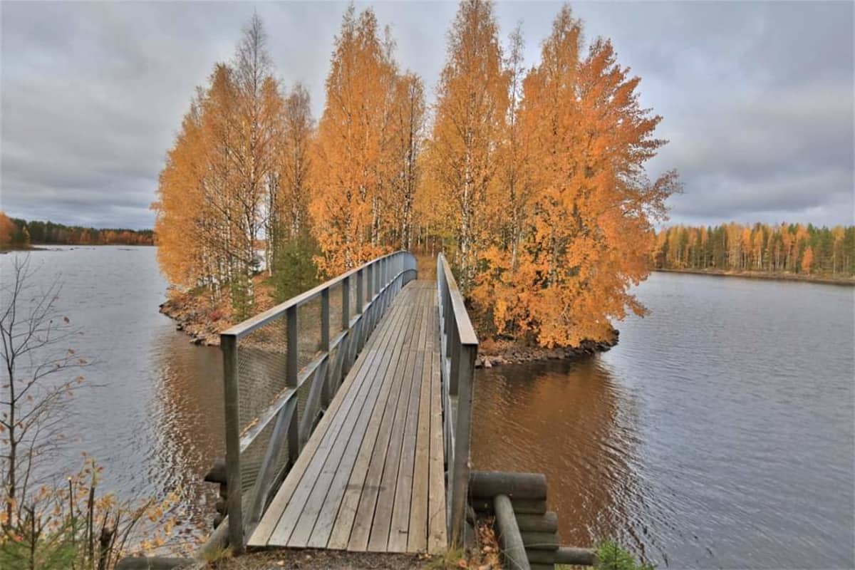 Silta vie veden yli ruskan kellastamaan saareen.
