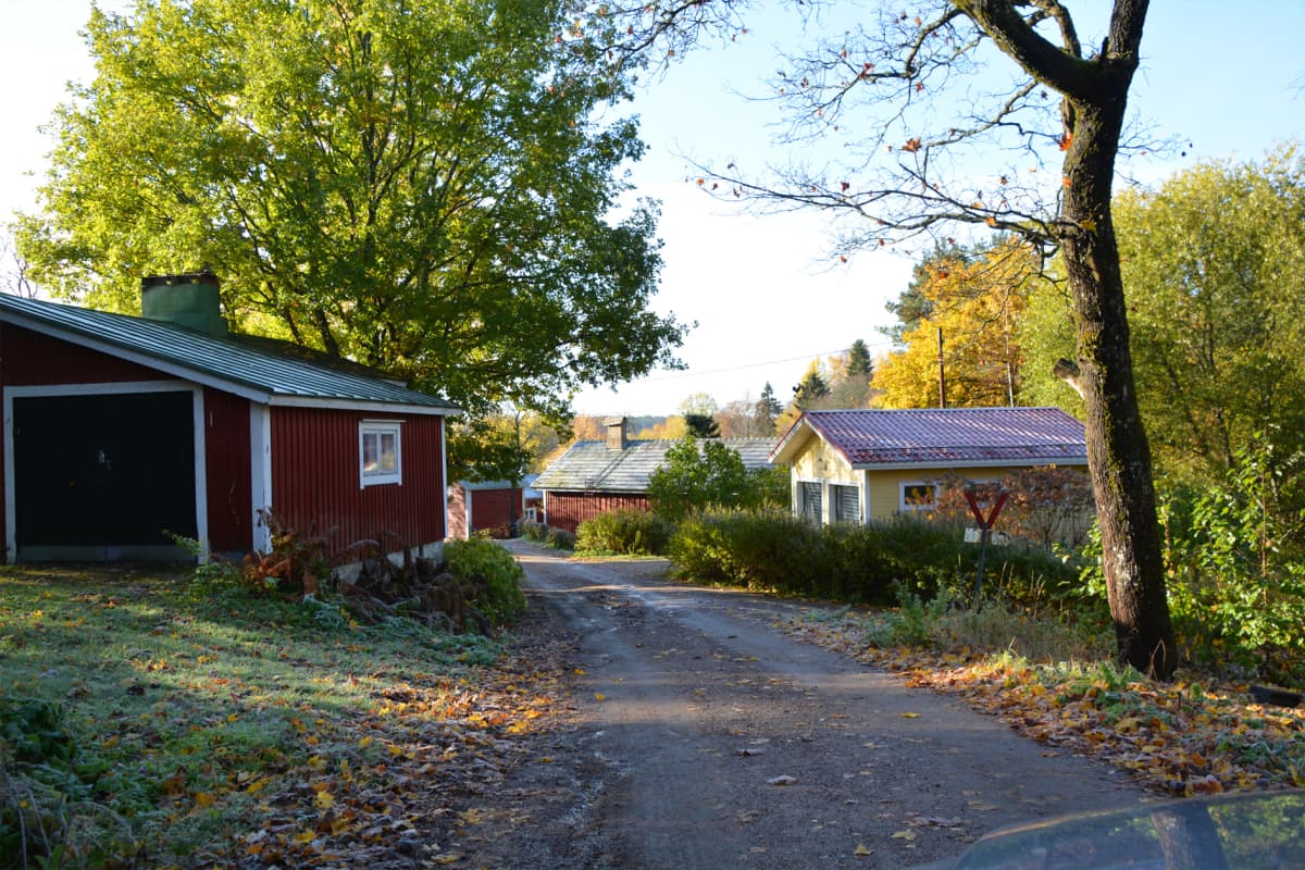På båda sidor om en sandväg ligger trähus i rött och gult. Vid sidan av vägen står ett träd och färggranna lövhögar kantar vägen.