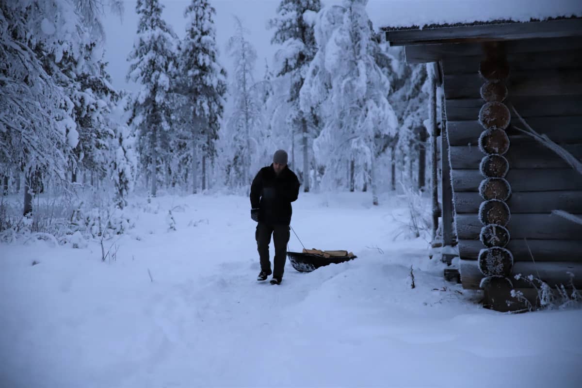 Matthew King vetää ahkiossa puita.