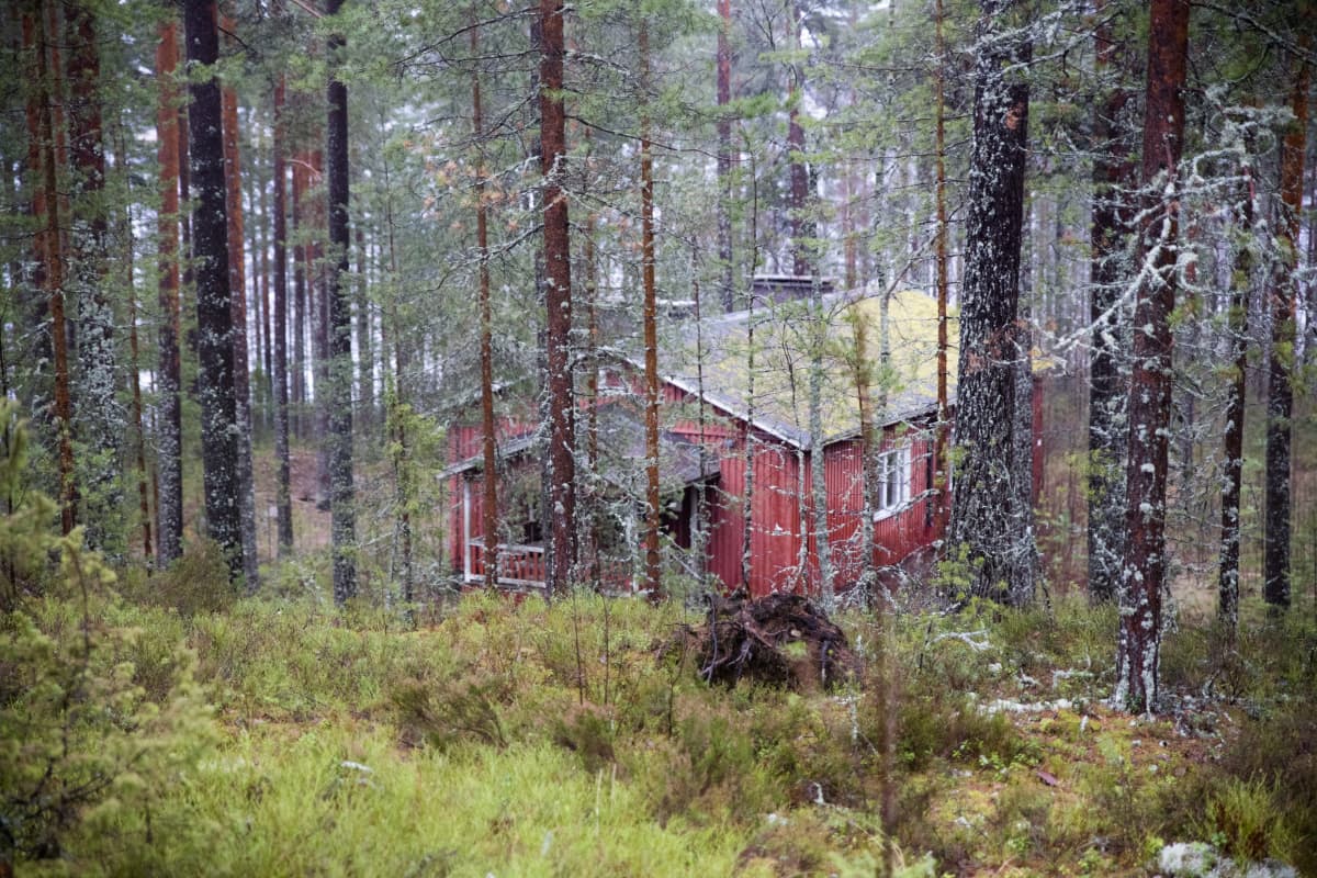 Saimaan lomakylän vanhat purettavat rakennukset.