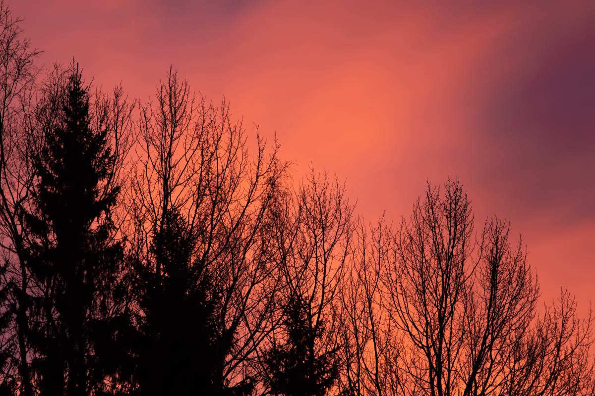 Auringonnousu Pietarsaaressa Pirkko Hautamäen kuvaamana 14.1.2020
