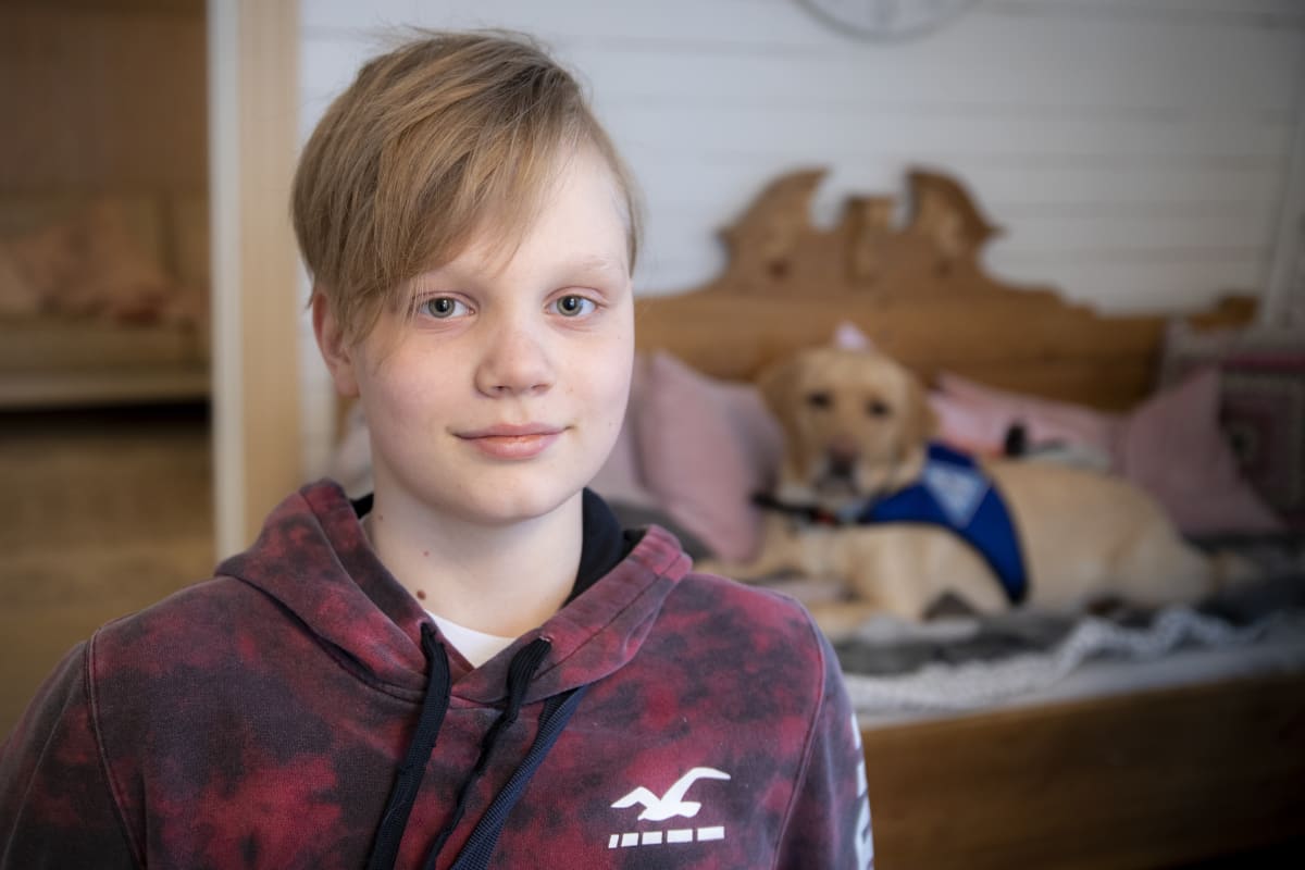 Hypokoira tarkkailee diabeetikko Johannes Jarvaa