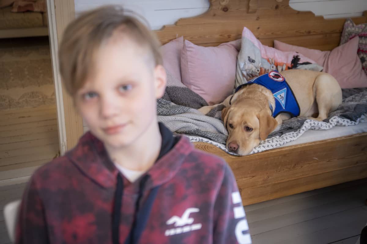 Koira makaa sohvalla Johanneksen takana