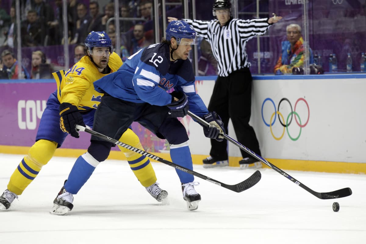 Leijonat