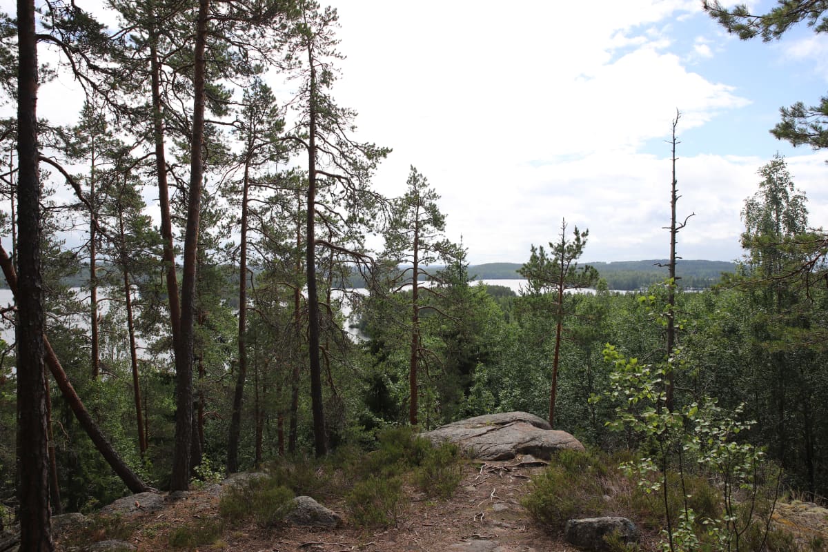 Murjanvuorelta maisemia.