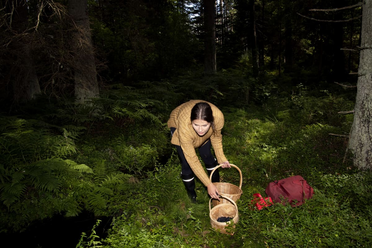 Sienestäjä metsässä.