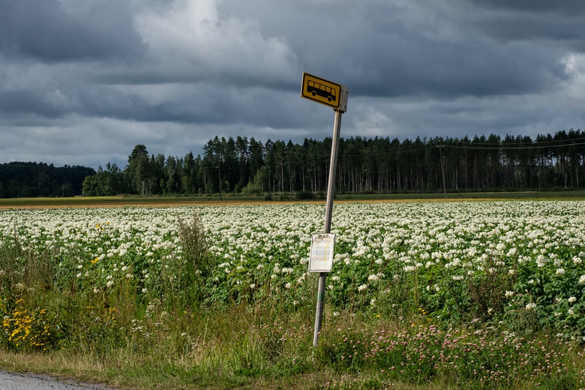 Linja-autopysäkki maaseudulla perunapellon kupeessa.
