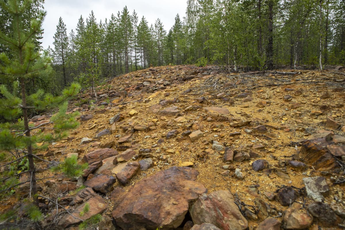 Kangasjärven kaivoksen kaivannaisjätealue.