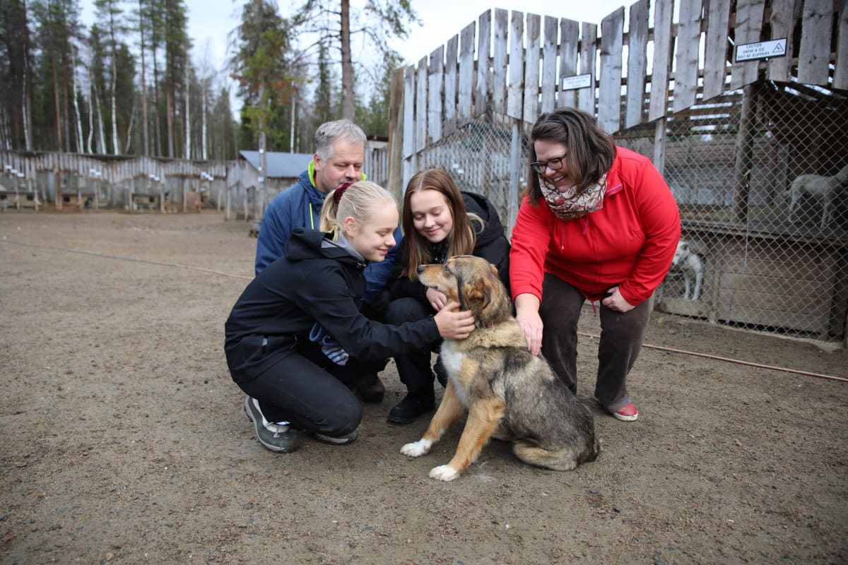 Karjalaisen perhe Arctic Husky Farmilla Pelkosenniemellä