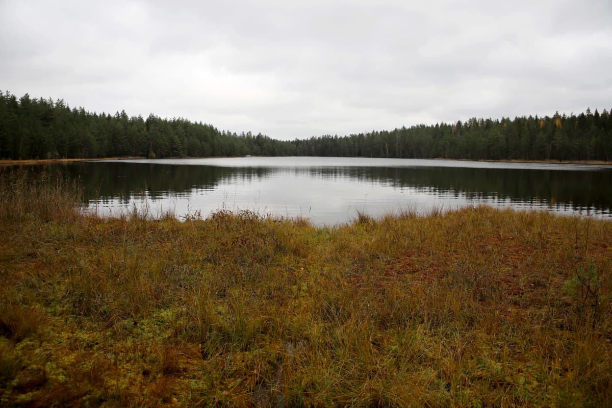 Kalalampi Kouvolassa