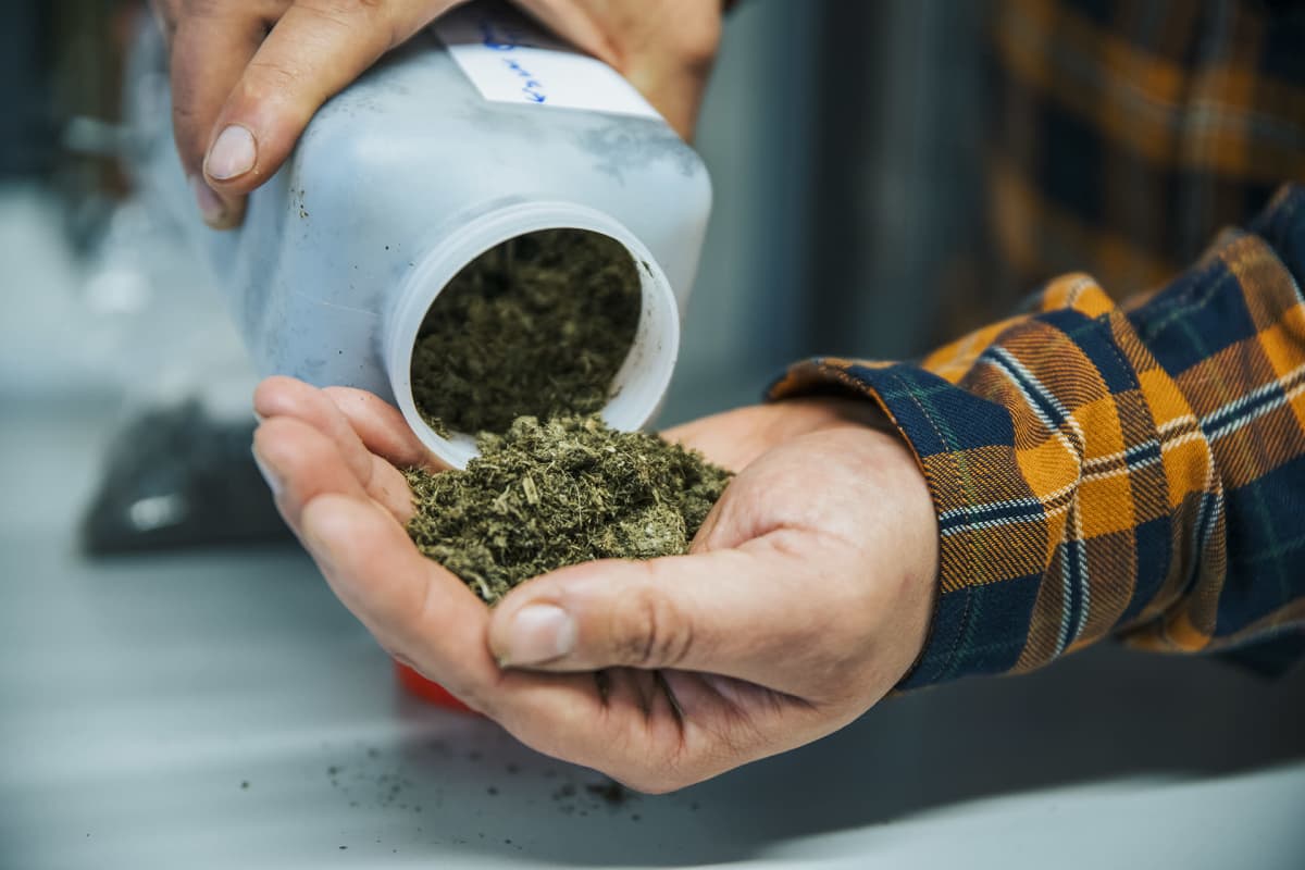 Biotalousinstituutin laboratoriossa tutkitaan käsiteltyä lantaa.