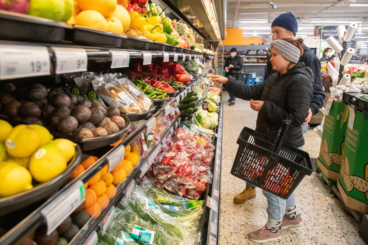 Opiskelijan taloudellinen arki, kuvassa Lilli Hatinen poikaystävänsä Tapanin kanssa Helsingin Mellunmäessä.