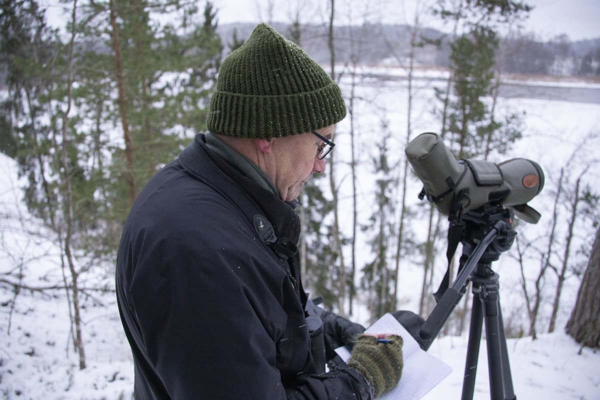 Jan Södersved, Birdlife Finland tiedottaja