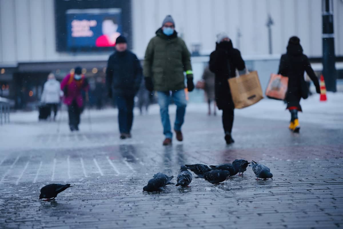 Ihmisiä kävelemässä ja puluja syömässä maassa Kuopion torilla talvella.