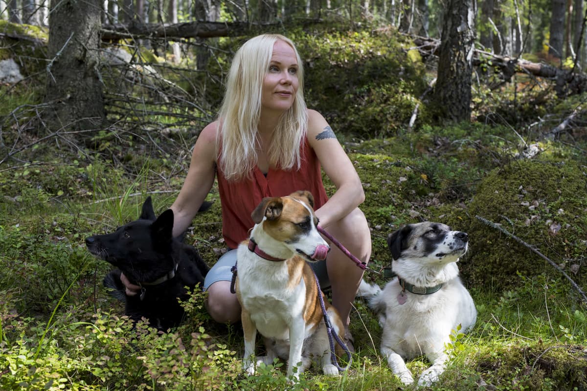 Filosofi Elisa Aaltola ja kolme koiraa metsässä.