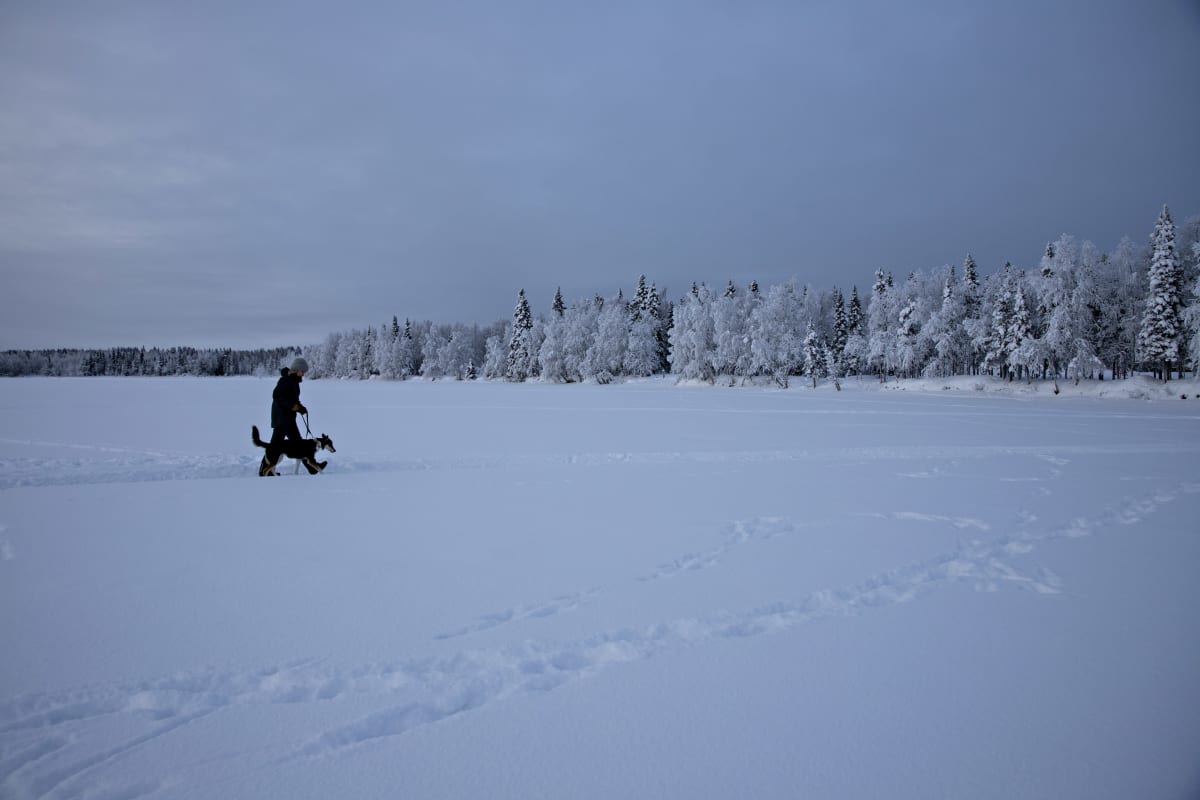 Vähälumisella Ylläsjärven jäällä on helppo käydä kävelyllä.