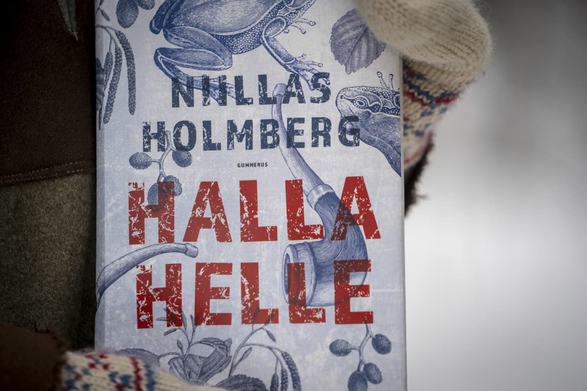 taiteilija Niillas Holmberg